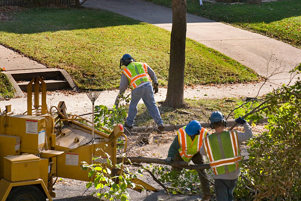 Best Landscape Design and Installation  in Bulverde, TX